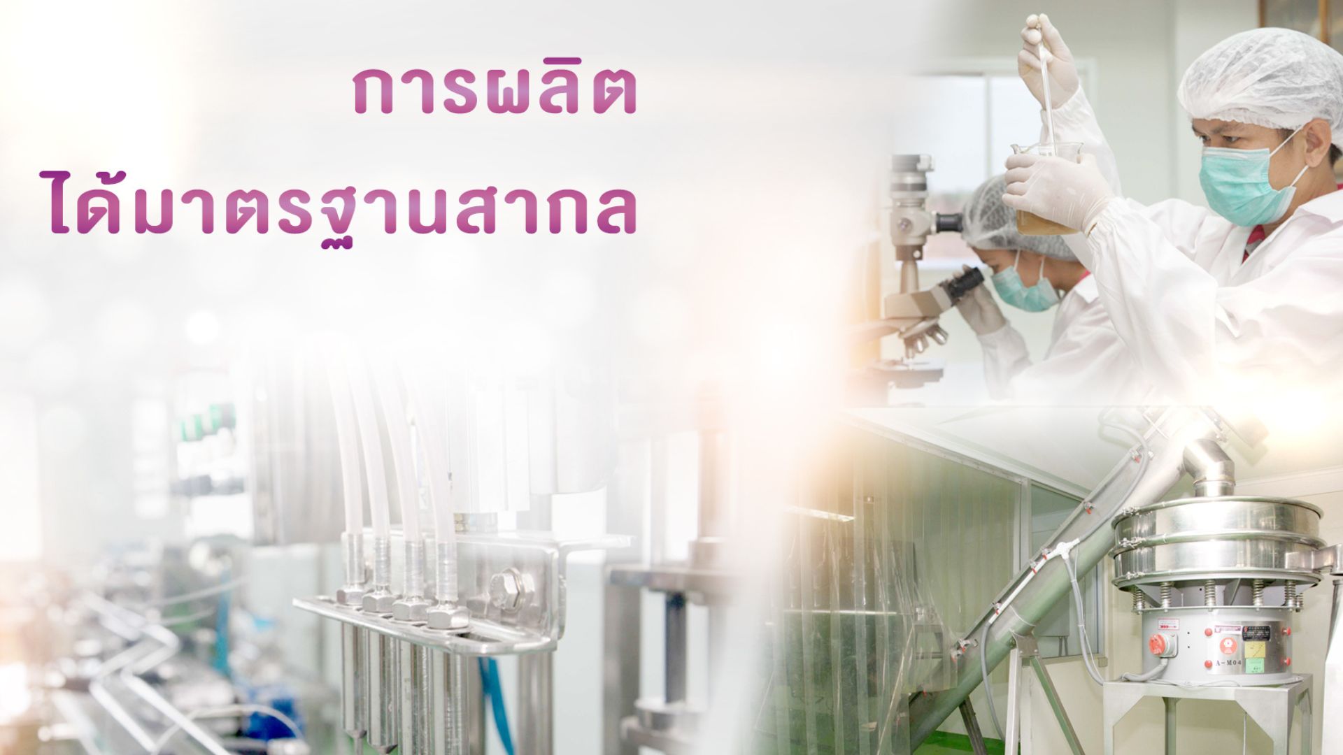 รากสามสิบ สรรพคุณ ประโยชน์